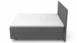 MONDO Boxspringbett grau