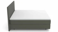 MONDO Boxspringbett graugrün