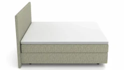 MONDO Boxspringbett grün