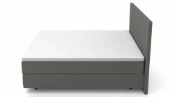 MONDO Boxspringbett grün