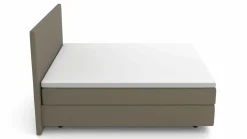 MONDO Boxspringbett grün