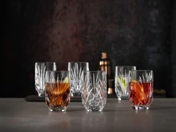 Nachtmann Saftbecher 265ml transparent