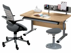 PAIDI Schreibtisch braun