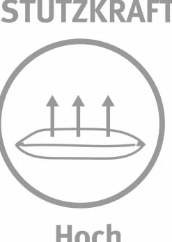 Paradies Kopfkissen 450g weiß