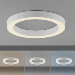 Paul Neuhaus LED-Deckenleuchte 1flg weiß