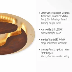 Paul Neuhaus LED-Deckenleuchte 1flg braun