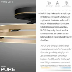 Paul Neuhaus LED-Deckenleuchte 2flg schwarzgoldfarben