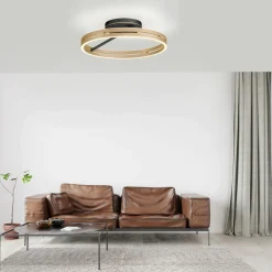 Paul Neuhaus LED-Deckenleuchte 2flg schwarzgoldfarben