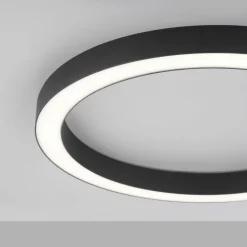 Paul Neuhaus LED-Deckenleuchte 1flg schwarz