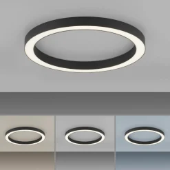 Paul Neuhaus LED-Deckenleuchte 1flg schwarz