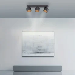 Paul Neuhaus LED-Deckenleuchte 3flg schwarz