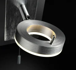 Paul Neuhaus LED-Deckenleuchte 1 flg silberfarben