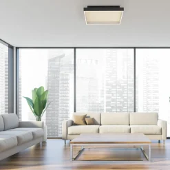 Paul Neuhaus LED-Deckenleuchte 1flg schwarz