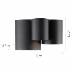 Paul Neuhaus LED-Deckenleuchte 3flg schwarz