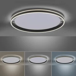 Paul Neuhaus LED-Deckenleuchte 1flg schwarz