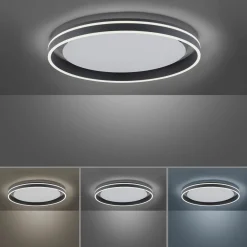 Paul Neuhaus LED-Deckenleuchte 1flg schwarz