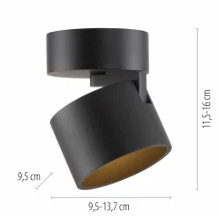 Paul Neuhaus LED-Deckenleuchte 1flg schwarz