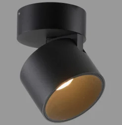 Paul Neuhaus LED-Deckenleuchte 1flg schwarz