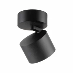 Paul Neuhaus LED-Deckenleuchte 1flg schwarz