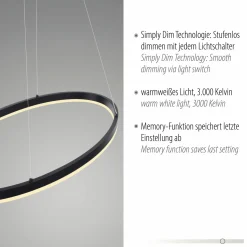 Paul Neuhaus LED-Pendelleuchte 1flg schwarz