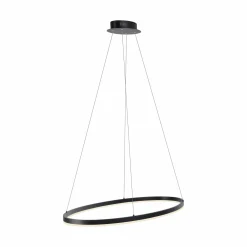 Paul Neuhaus LED-Pendelleuchte 1flg schwarz