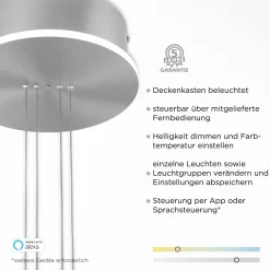 Paul Neuhaus LED-Pendelleuchte 2flg silberfarben