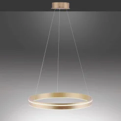 Paul Neuhaus LED-Pendelleuchte 1flg goldfarben