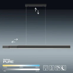 Paul Neuhaus LED-Pendelleuchte 6flg schwarz