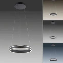 Paul Neuhaus LED-Pendelleuchte 1flg schwarz