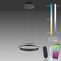Paul Neuhaus LED-Pendelleuchte 1flg schwarz