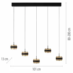 Paul Neuhaus LED-Pendelleuchte 5flg schwarz