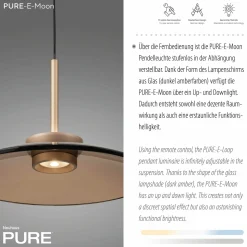 Paul Neuhaus LED-Pendelleuchte 2flg braun