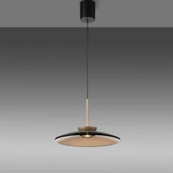 Paul Neuhaus LED-Pendelleuchte 2flg braun