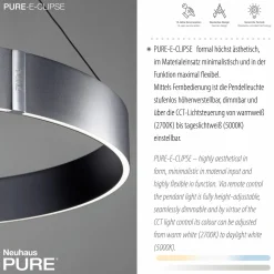 Paul Neuhaus LED-Pendelleuchte 2flg grau