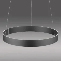 Paul Neuhaus LED-Pendelleuchte 2flg grau