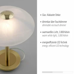 Paul Neuhaus LED-Tischleuchte 1flg goldfarben
