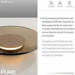 Paul Neuhaus LED-Tischleuchte 1flg braun