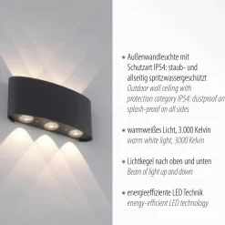 Paul Neuhaus LED-Wandleuchte 6flg schwarz