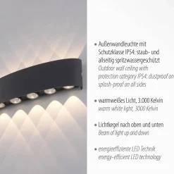 Paul Neuhaus LED-Wandleuchte 10flg schwarz