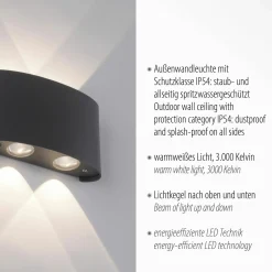 Paul Neuhaus LED-Wandleuchte 4flg schwarz