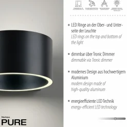 Paul Neuhaus LED-Wandleuchte 2flg grau