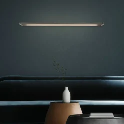 Paul Neuhaus LED-Wandleuchte 1flg grau