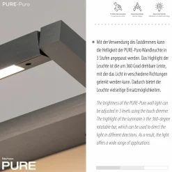 Paul Neuhaus LED-Wandleuchte 1flg grau