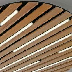 Paul Neuhaus LED-Wand-u. Deckenleuchte 1flg braun