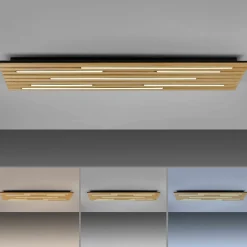 Paul Neuhaus LED-Wand-u. Deckenleuchte 1flg braun