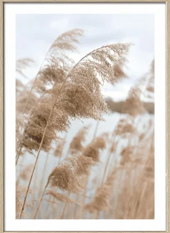 Pro Art Kunstdruck gerahmt 32,5x42,5cm mehrfarbig