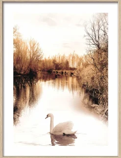 Pro Art Kunstdruck gerahmt 32,5x42,5cm mehrfarbig