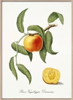 Pro Art Kunstdruck gerahmt 75x55cm mehrfarbig