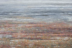 Ragolle Webteppich graumehrfarbiggrün