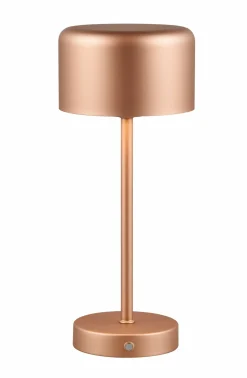 Reality Leuchten LED - Akku - Tischleuchte 1flg braun